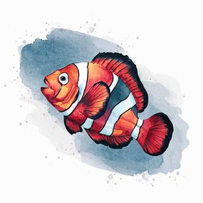 水彩风格小丑鱼绘画作品图片